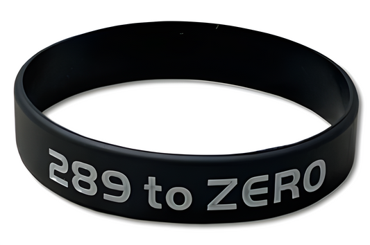 289 to Zero Bracelet